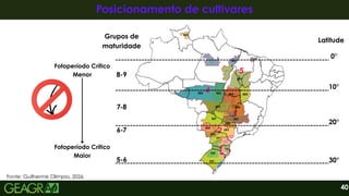 40
Posicionamento de cultivares
Posicionamento de cultivares
5-6
6-7
7-8
8-9
Grupos de
maturidade
30°
20°
10°
0°
Latitude
Fotoperíodo Crítico
Menor
Fotoperíodo Crítico
Maior
Fonte: Guilherme Olimpio, 2026.
 