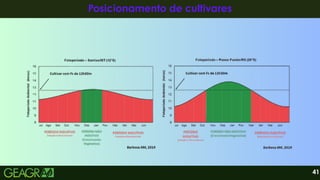 41
Posicionamento de cultivares
Posicionamento de cultivares
 