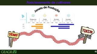 42
Posicionamento de cultivares
Posicionamento de cultivares
J
Ja
an
ne
el
la
a d
de
e P
Pr
ro
od
du
uç
çã
ão
o
Janela de Produção
 