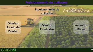 Amenizar
Riscos
49
Posicionamento de cultivares
Posicionamento de cultivares
Escalonamento de
Escalonamento de
cultivares
cultivares
Escalonamento de
cultivares
Otimizar
Janela de
Plantio
Otimizar
Resultados
 