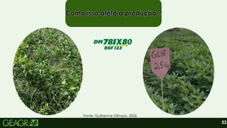 52
Como isso afeta a produção ?
Como isso afeta a produção ?
Como isso afeta a produção ?
Fonte: Guilherme Olimpio, 2026.
 