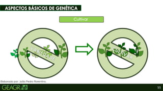 11
Elaborado por: João Pedro Florentino.
Sumário
 