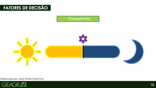 12
Sumário
Elaborado por: João Pedro Florentino.
 