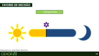14
Elaborado por: João Pedro Florentino.
 
