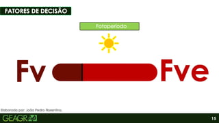 15
Elaborado por: João Pedro Florentino.
 