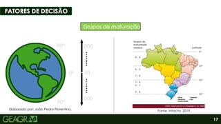 10
10
17
0º
90º
90º
000
000
0º
90º
90º
000
000
Fonte: Intacta, 2019.
Elaborado por: João Pedro Florentino.
 