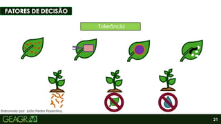 21
Elaborado por: João Pedro Florentino.
 