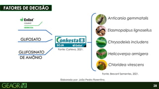 Fonte: Intacta.
28
Fonte: Corteva, 2021.
Fonte: Brevant Sementes, 2021.
Anticarsia gemmatalis
Elasmopalpus lignosellus
Chrysodeixis includens
Helicoverpa armigera
Chloridea virescens
Elaborado por: João Pedro Florentino.
 