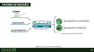 Fonte: Intacta.
29
Fonte: Brevant Sementes, 2021.
Spodoptera cosmioides
Spodoptera eridania
Elaborado por: João Pedro Florentino.
Fonte: Corteva, 2021.
 