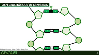 5
C G
A T
T A
Sumário
Elaborado por: João Pedro Florentino.
 
