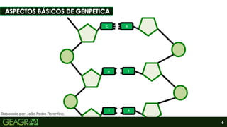 6
C G
A T
T A
Sumário
Elaborado por: João Pedro Florentino.
 