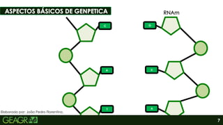 7
C
A
T
G
U
A
Sumário
Elaborado por: João Pedro Florentino.
 