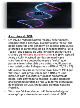 DNA  A estrutura do DNA Em 1923, Frederick Griffith realizou experimentos com bactérias e observou que havia uma “coisa” que podia passar de uma linhagem de bactéria para outra, alterando as características da linhagem original. Esta “coisa” que passava de uma linhagem pra outra, ele chamou de  Princípio Transformante . Em 1944, Oswald Avary e Colin MacLeod purificaram o princípio transformante e descobriram que a “coisa” que passava de uma bactéria para outra, modificando as características das linhagens era o DNA.(L.75,76 e 77)  Mas como era esse misterioso DNA? Foi em 1953 que Watson e Crick propuseram que o DNA era uma molécula com duas fitas arrumadas em forma de hélice. Para desvendar o mistério, os dois cientistas analisaram fotografias de raio-X da forma cristalizada da molécula de DNA, tiradas pela cientista Rosalind Franklin.  Watson e Crick receberam o Prêmio Nobel alguns anos após por desvendarem a estrutura do DNA.  