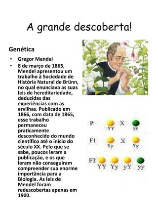 A grande descoberta! Genética Gregor Mendel  8 de março de 1865, Mendel apresentou um trabalho à Sociedade de História Natural de Brünn, no qual enunciava as suas leis de hereditariedade, deduzidas das experiências com as ervilhas. Publicado em 1866, com data de 1865, esse trabalho permaneceu  praticamente desconhecido do mundo científico até o início do século XX. Pelo que se sabe, poucos leram a publicação, e os que leram não conseguiram compreender sua enorme importância para a Biologia. As leis de Mendel foram redescobertas apenas em 1900. 