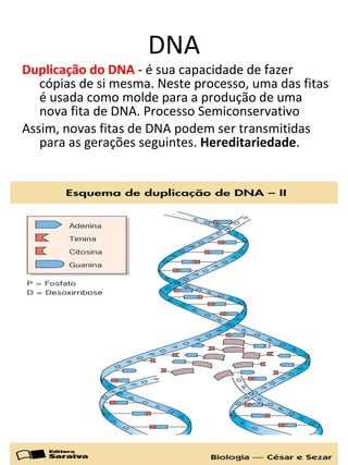 DNA Duplicação do DNA  - é sua capacidade de fazer cópias de si mesma. Neste processo, uma das fitas é usada como molde para a produção de uma nova fita de DNA. Processo Semiconservativo Assim, novas fitas de DNA podem ser transmitidas para as gerações seguintes.  Hereditariedade . 