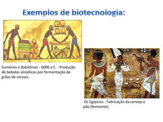 Sumérios e Babilônios - 6000 a.C. - Produção 
de bebidas alcoólicas por fermentação de 
grãos de cereais. 
Os Egípicios - Fabricação da cerveja e 
pão (fermento). 
 