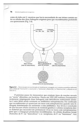 Biotecnologia industrial   vol 1