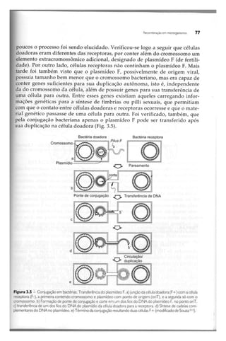 Biotecnologia industrial   vol 1