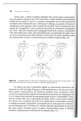 Biotecnologia industrial   vol 1
