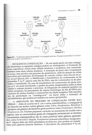 Biotecnologia industrial   vol 1