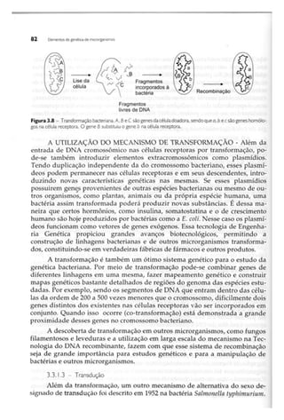 Biotecnologia industrial   vol 1