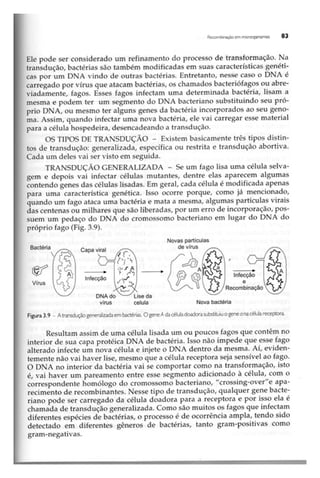 Biotecnologia industrial   vol 1
