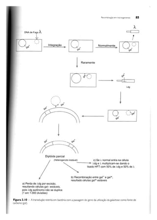 Biotecnologia industrial   vol 1