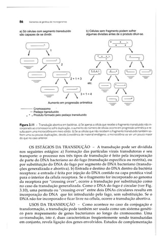 Biotecnologia industrial   vol 1