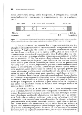 Biotecnologia industrial   vol 1