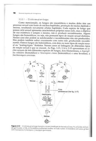 Biotecnologia industrial   vol 1