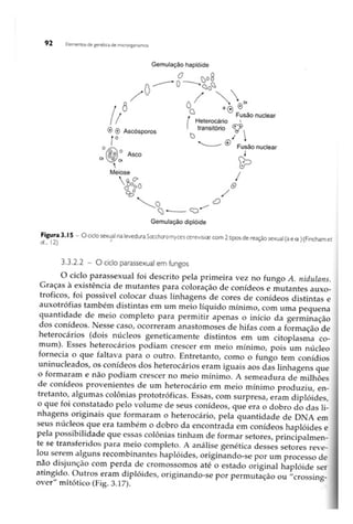 Biotecnologia industrial   vol 1
