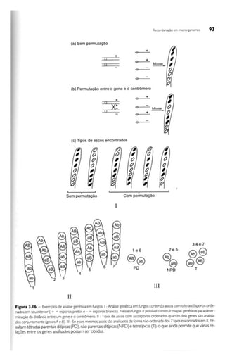 Biotecnologia industrial   vol 1
