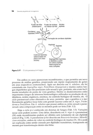 Biotecnologia industrial   vol 1