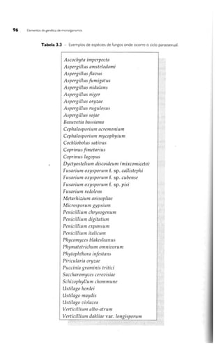 Biotecnologia industrial   vol 1
