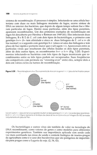 Biotecnologia industrial   vol 1