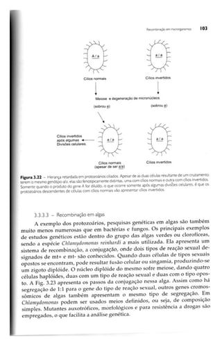 Biotecnologia industrial   vol 1
