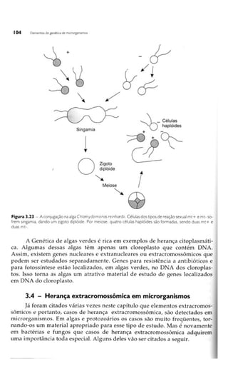 Biotecnologia industrial   vol 1