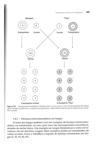 Biotecnologia industrial   vol 1