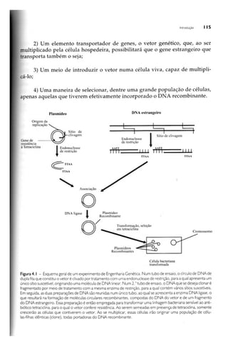 Biotecnologia industrial   vol 1