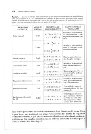 Biotecnologia industrial   vol 1