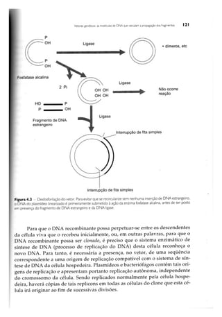 Biotecnologia industrial   vol 1