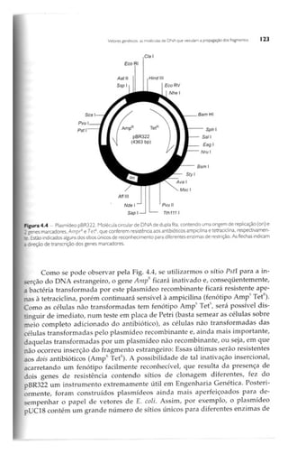 Biotecnologia industrial   vol 1