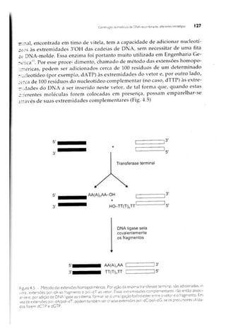Biotecnologia industrial   vol 1