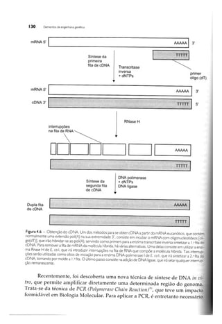 Biotecnologia industrial   vol 1