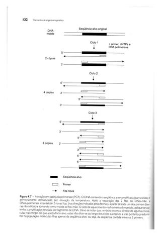 Biotecnologia industrial   vol 1