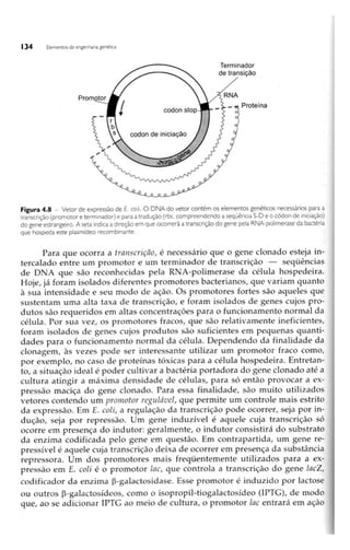Biotecnologia industrial   vol 1
