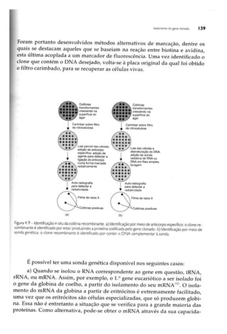 Biotecnologia industrial   vol 1