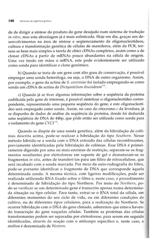 Biotecnologia industrial   vol 1