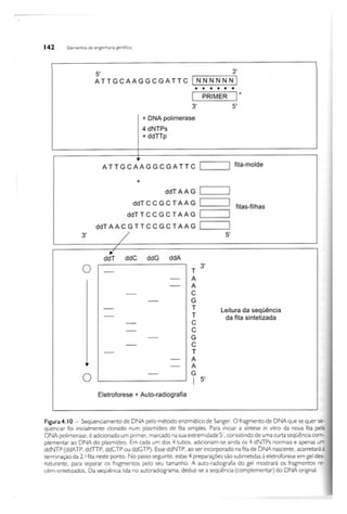 Biotecnologia industrial   vol 1