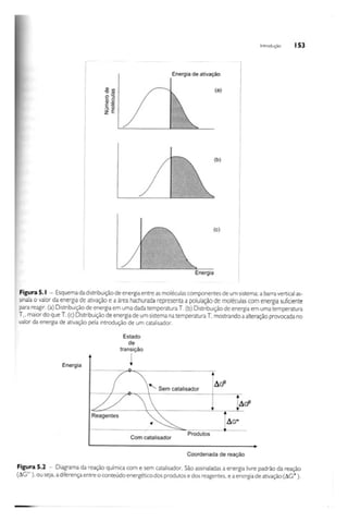 Biotecnologia industrial   vol 1